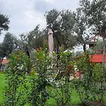 Poggio Degli Ulivi