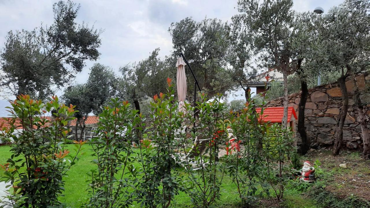 Appartement Poggio Degli Ulivi *