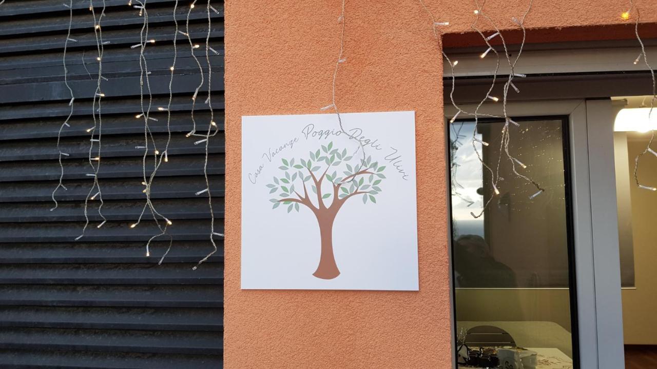 Appartement Poggio Degli Ulivi
